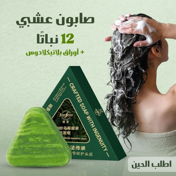 صابون شامبو بار عشبي صيني باللون الأخضر على شكل مثلث.